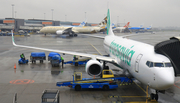 Transavia Boeing 737-8K2 (PH-HXE) at  Amsterdam - Schiphol, Netherlands