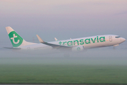 Transavia Boeing 737-8K2 (PH-HXE) at  Amsterdam - Schiphol, Netherlands