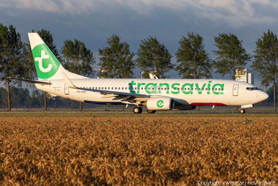 Transavia Boeing 737-8K2 (PH-HXE) | Photo 581527