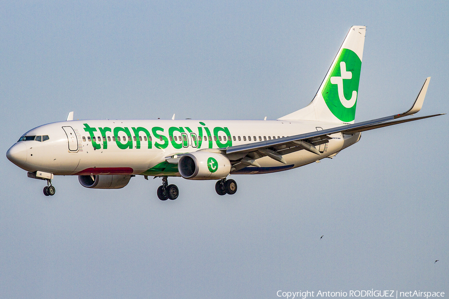 Transavia Boeing 737-8K2 (PH-HXE) | Photo 154134