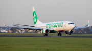 Transavia Boeing 737-8K2 (PH-HXF) at  Amsterdam - Schiphol, Netherlands