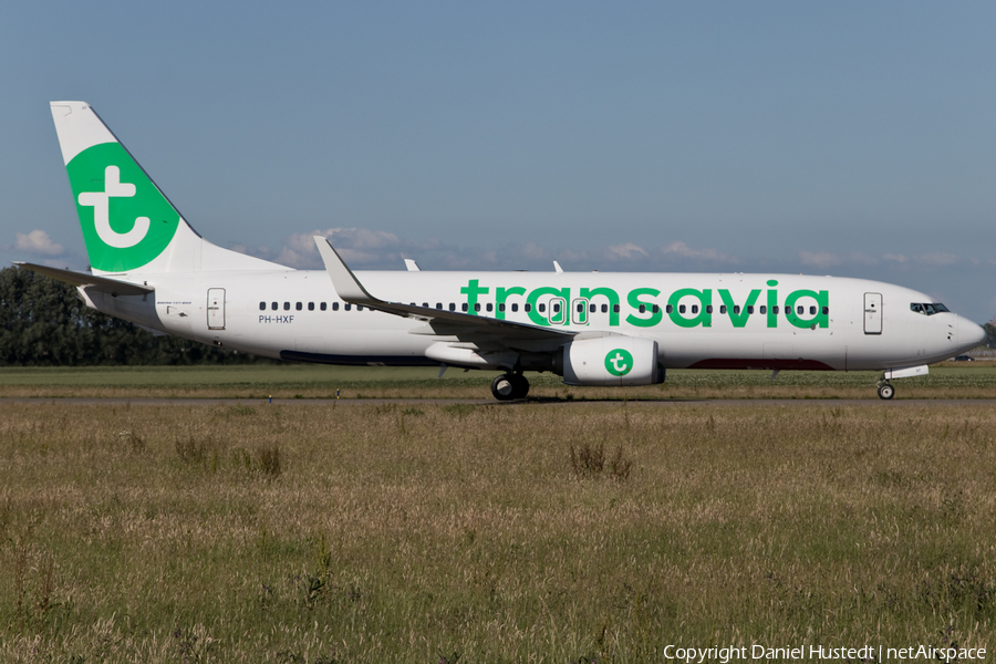 Transavia Boeing 737-8K2 (PH-HXF) | Photo 411181