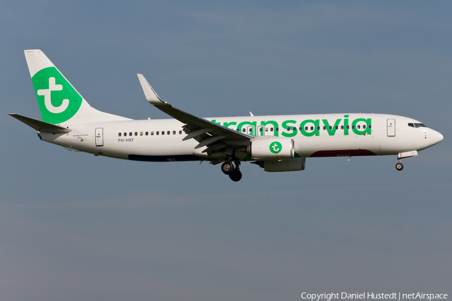 Transavia Boeing 737-8K2 (PH-HXF) | Photo 453848