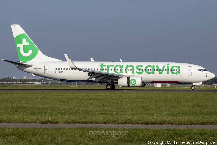 Transavia Boeing 737-8K2 (PH-HXF) | Photo 487825