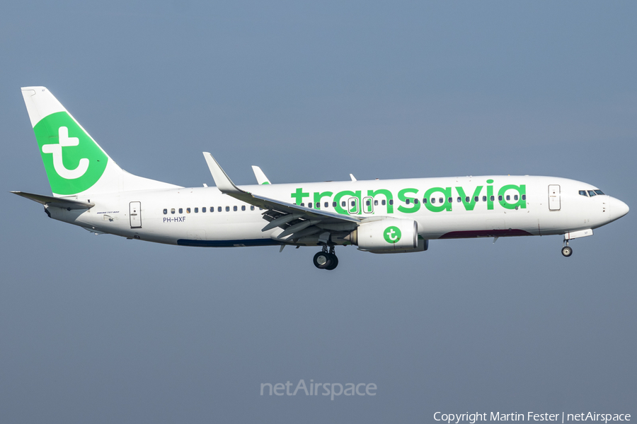 Transavia Boeing 737-8K2 (PH-HXF) | Photo 488465