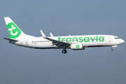 Transavia Boeing 737-8K2 (PH-HXF) at  Amsterdam - Schiphol, Netherlands