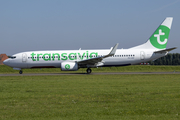 Transavia Boeing 737-8K2 (PH-HXF) at  Amsterdam - Schiphol, Netherlands