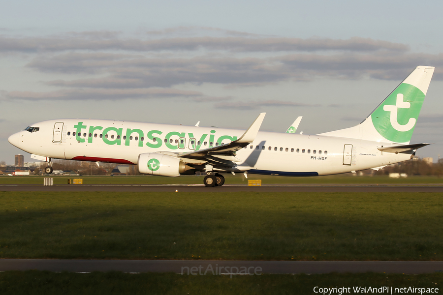 Transavia Boeing 737-8K2 (PH-HXF) | Photo 563061