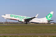 Transavia Boeing 737-8K2 (PH-HXF) at  Amsterdam - Schiphol, Netherlands