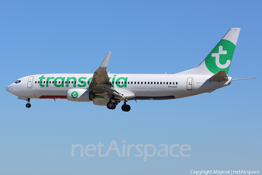 Transavia Boeing 737-8K2 (PH-HXF) | Photo 203935