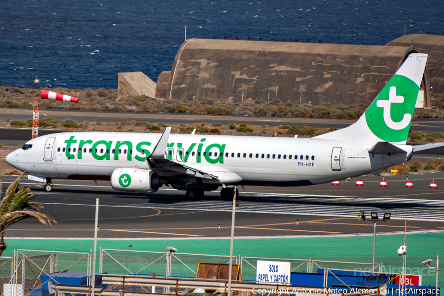 Transavia Boeing 737-8K2 (PH-HXF) | Photo 629909