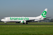 Transavia Boeing 737-8K2 (PH-HXG) at  Amsterdam - Schiphol, Netherlands