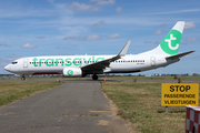 Transavia Boeing 737-8K2 (PH-HXG) at  Amsterdam - Schiphol, Netherlands