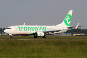 Transavia Boeing 737-8K2 (PH-HXG) at  Amsterdam - Schiphol, Netherlands