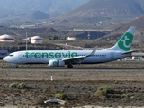 Transavia Boeing 737-8K2 (PH-HXG) at  Tenerife Sur - Reina Sofia, Spain