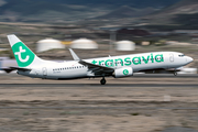 Transavia Boeing 737-8K2 (PH-HXG) at  Tenerife Sur - Reina Sofia, Spain