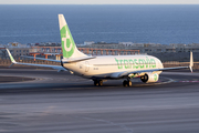 Transavia Boeing 737-8K2 (PH-HXG) at  Tenerife Sur - Reina Sofia, Spain