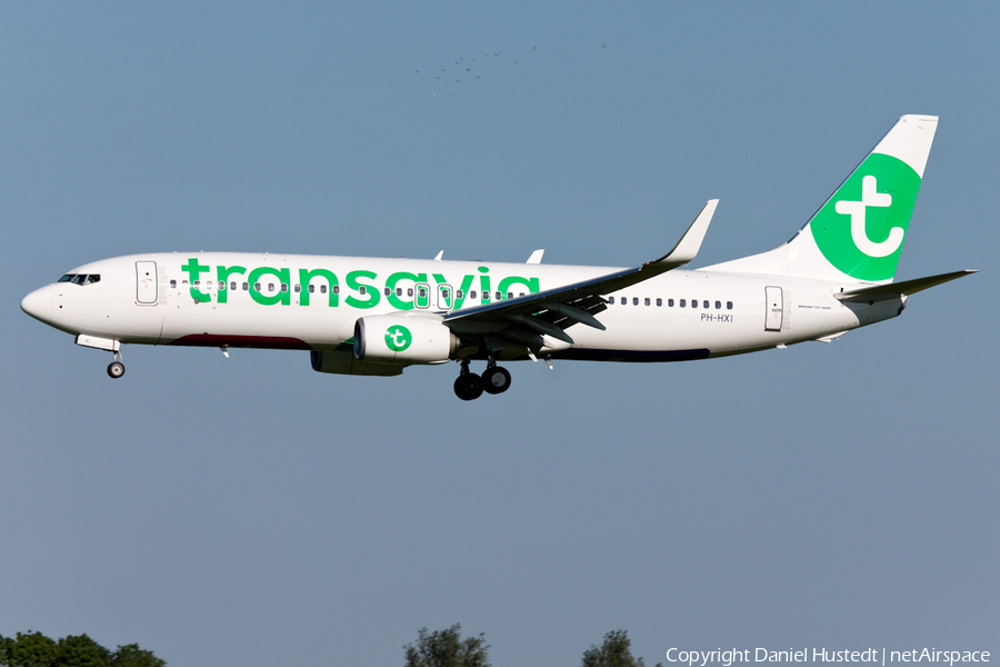 Transavia Boeing 737-8K2 (PH-HXI) | Photo 479968