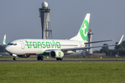Transavia Boeing 737-8K2 (PH-HXJ) at  Amsterdam - Schiphol, Netherlands
