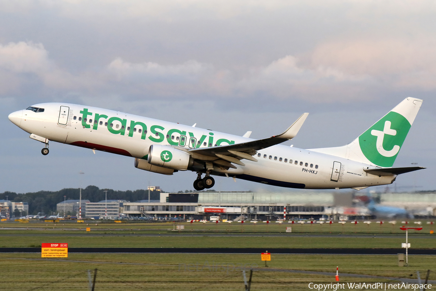 Transavia Boeing 737-8K2 (PH-HXJ) | Photo 531495