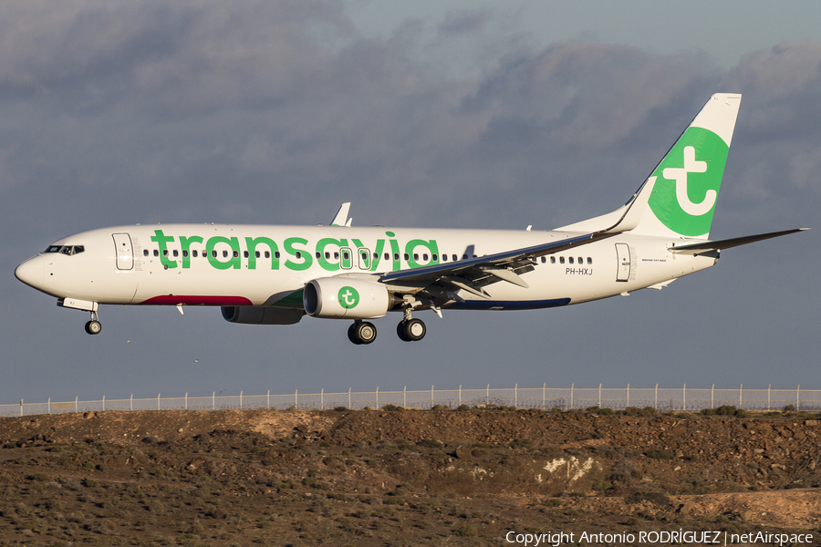 Transavia Boeing 737-8K2 (PH-HXJ) | Photo 157437