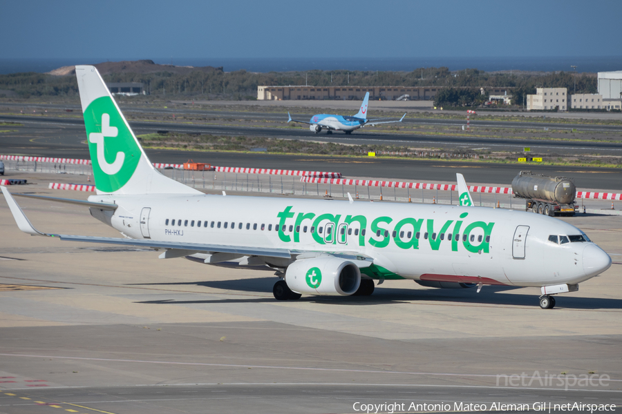 Transavia Boeing 737-8K2 (PH-HXJ) | Photo 623782