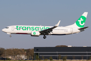 Transavia Boeing 737-8K2 (PH-HXK) at  Amsterdam - Schiphol, Netherlands