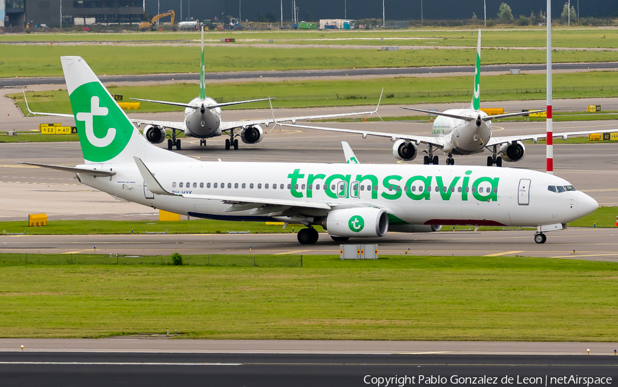 Transavia Boeing 737-8K2 (PH-HXK) | Photo 348528