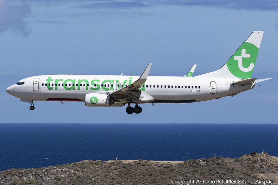 Transavia Boeing 737-8K2 (PH-HXK) | Photo 618281