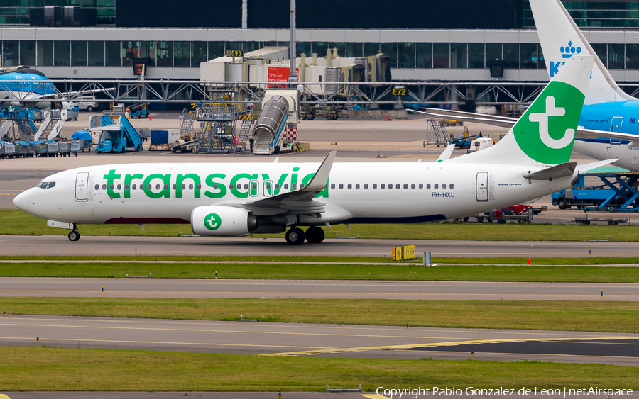 Transavia Boeing 737-8K2 (PH-HXL) | Photo 350299