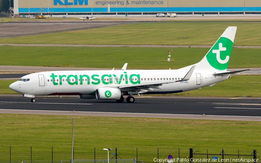 Transavia Boeing 737-8K2 (PH-HXL) | Photo 350566