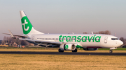 Transavia Boeing 737-8K2 (PH-HXL) at  Amsterdam - Schiphol, Netherlands