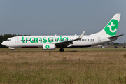 Transavia Boeing 737-8K2 (PH-HXL) at  Amsterdam - Schiphol, Netherlands