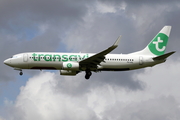 Transavia Boeing 737-8K2 (PH-HXL) at  Amsterdam - Schiphol, Netherlands