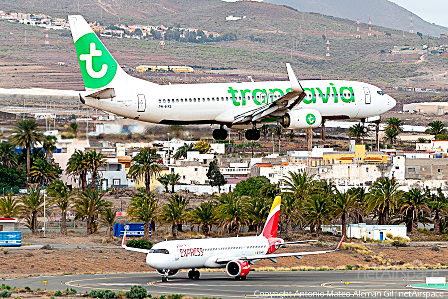 Transavia Boeing 737-8K2 (PH-HXL) | Photo 623248