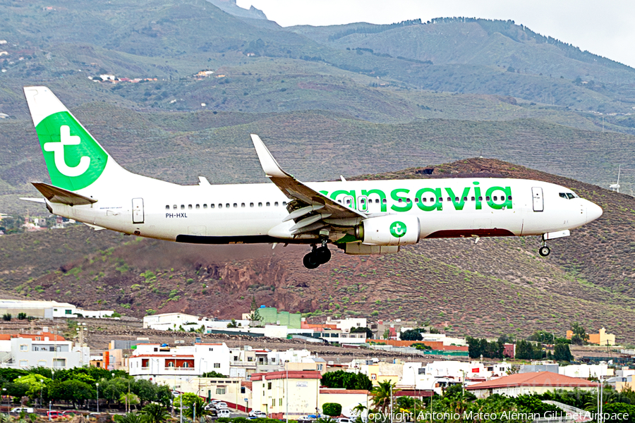 Transavia Boeing 737-8K2 (PH-HXL) | Photo 623249
