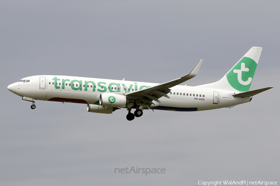 Transavia Boeing 737-8K2 (PH-HXM) | Photo 520377