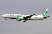 Transavia Boeing 737-8K2 (PH-HXM) at  Amsterdam - Schiphol, Netherlands