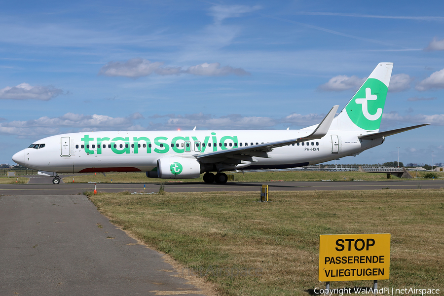 Transavia Boeing 737-8K2 (PH-HXN) | Photo 531496