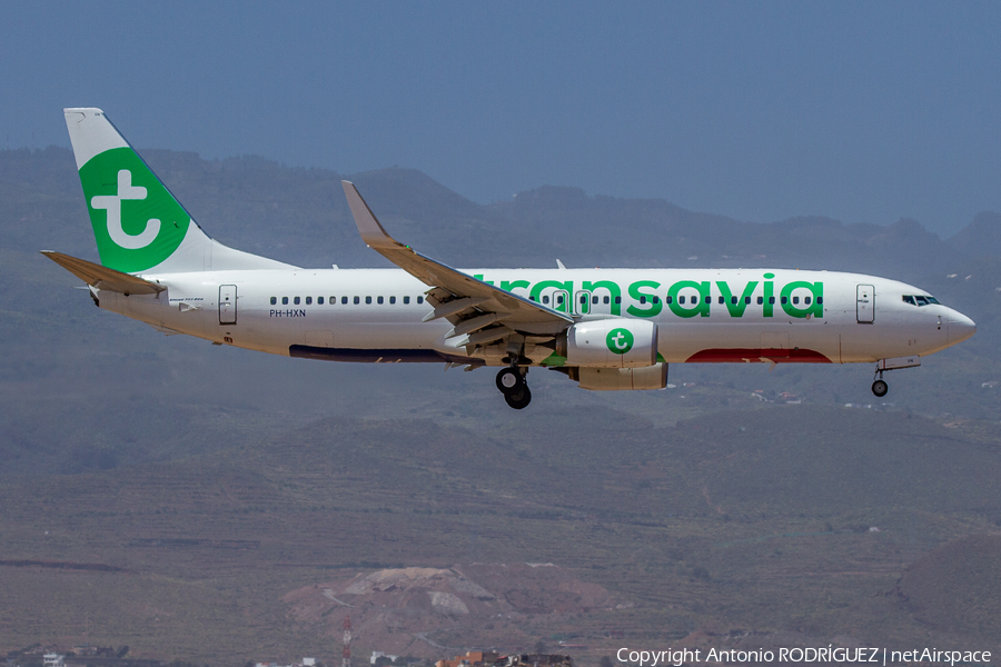 Transavia Boeing 737-8K2 (PH-HXN) | Photo 440521
