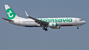 Transavia Boeing 737-8K2 (PH-HXO) at  Amsterdam - Schiphol, Netherlands