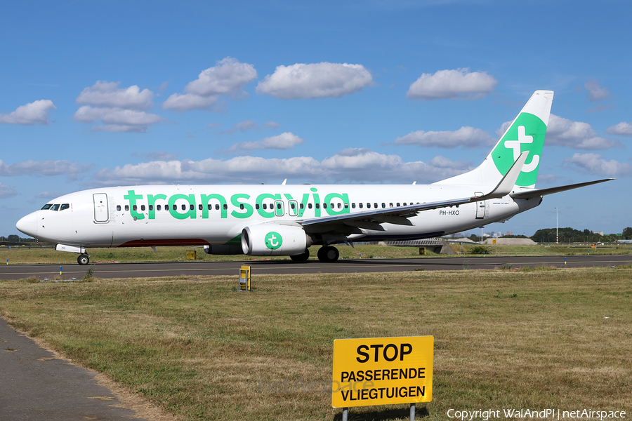 Transavia Boeing 737-8K2 (PH-HXO) | Photo 531497