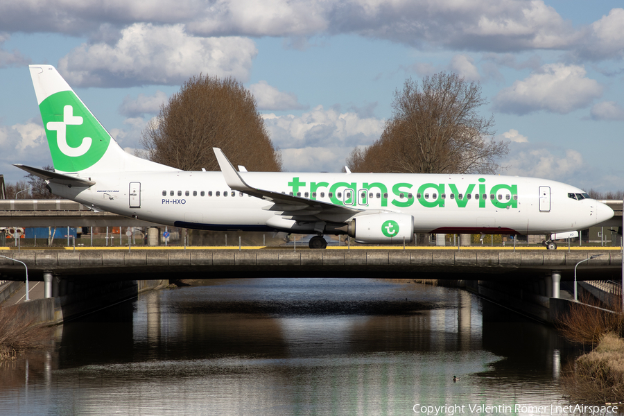 Transavia Boeing 737-8K2 (PH-HXO) | Photo 559727