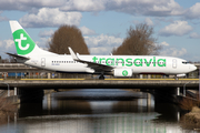 Transavia Boeing 737-8K2 (PH-HXO) at  Amsterdam - Schiphol, Netherlands