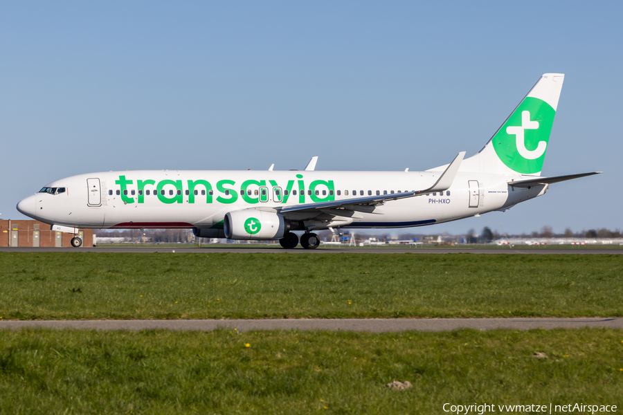 Transavia Boeing 737-8K2 (PH-HXO) | Photo 562513