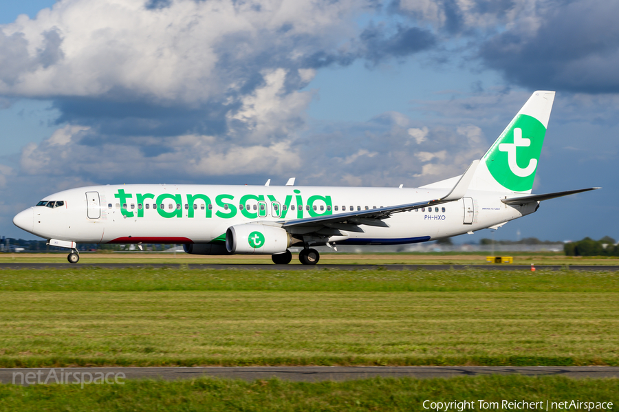 Transavia Boeing 737-8K2 (PH-HXO) | Photo 584687
