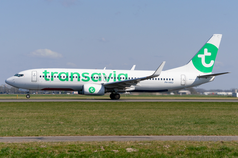 Transavia Boeing 737-8K2 (PH-HXO) at  Amsterdam - Schiphol, Netherlands