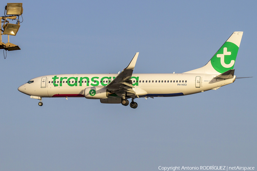 Transavia Boeing 737-8K2 (PH-HXO) | Photo 294748
