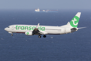 Transavia Boeing 737-8K2 (PH-HXO) at  Gran Canaria, Spain