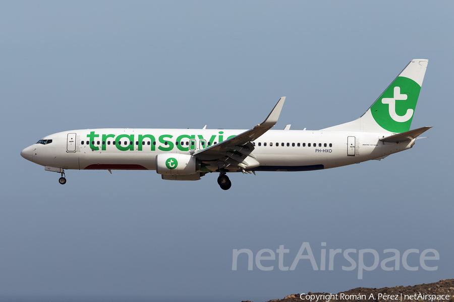 Transavia Boeing 737-8K2 (PH-HXO) | Photo 500429